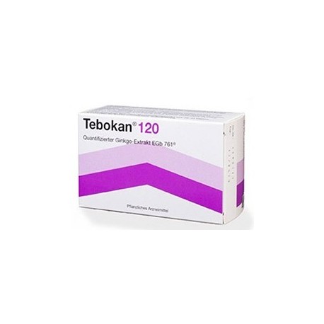 Tebokan intens 120 Mg 30 Tablets ingredient ginkgo biloba extract